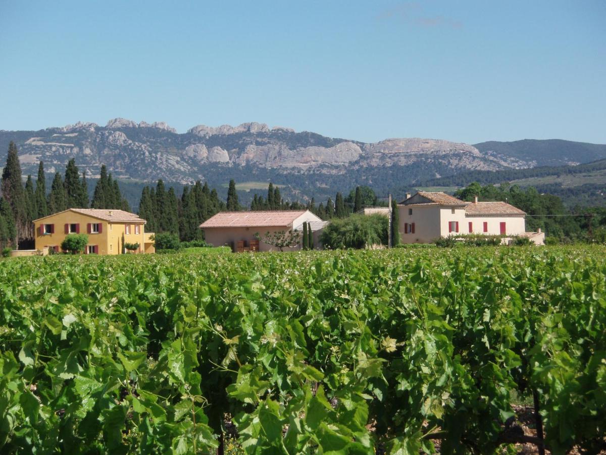 Gite Les Vignes Carpentras Dış mekan fotoğraf