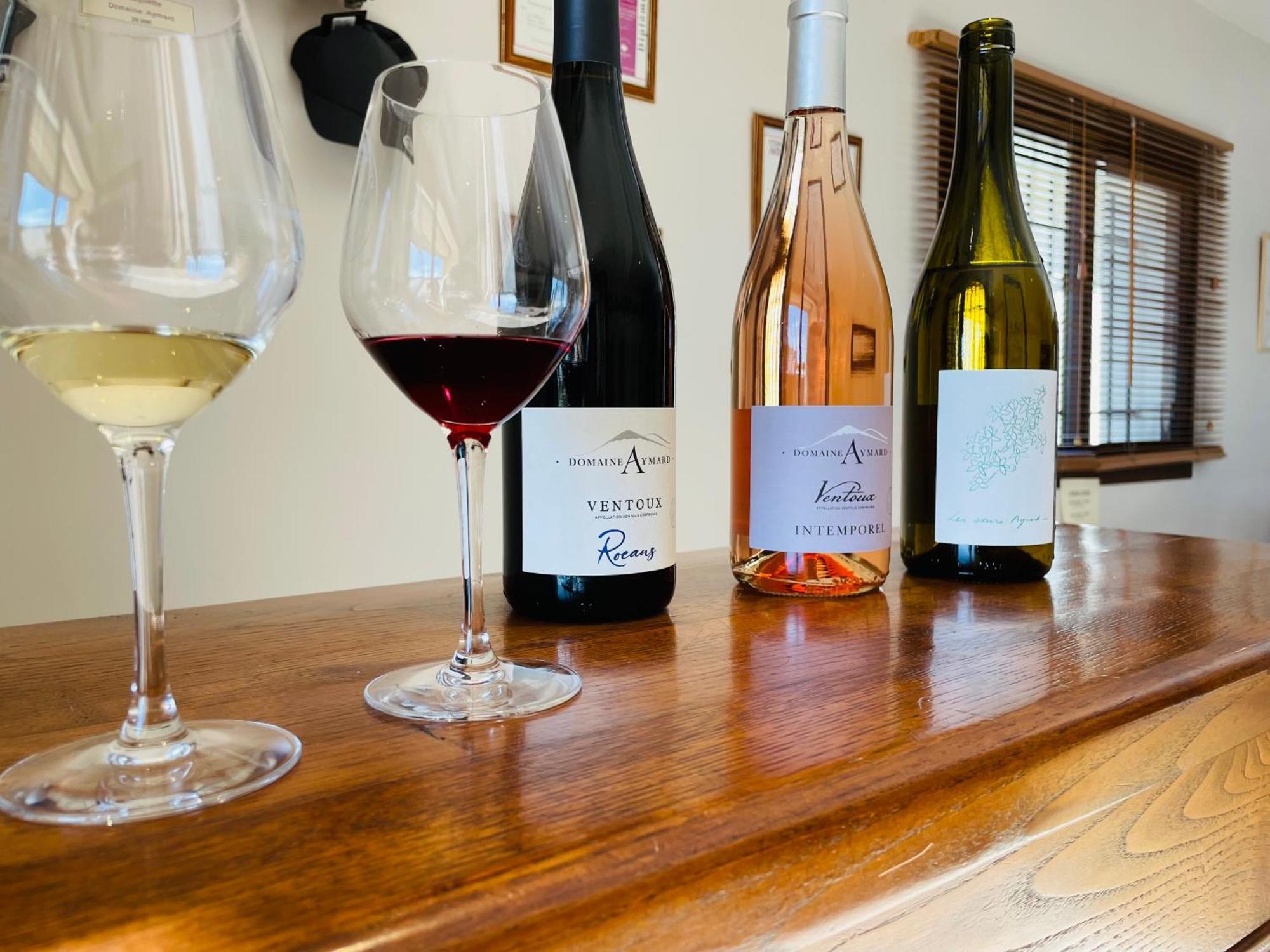Gite Les Vignes Carpentras Dış mekan fotoğraf